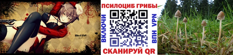 ссылка на мегу ТОР Суздаль Псилоцибиновые грибы MAGIC MUSHROOMS